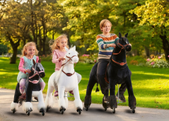 Dixi zèbre Ponnie XL PROFI