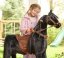 Jeżdżący mechaniczny koń Ponnie Ebony M