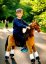 Cavallo da equitazione in linea Ponnie Fancy M