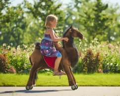 Camel Ponnie M PROFI