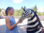 Mechanical riding Zebra Ponnie Dixi M