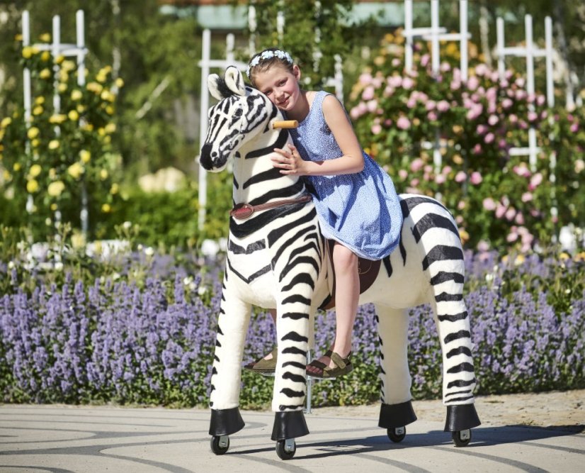 Dixi Zebra Ponnie XL PROFI