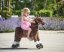 Mechanical riding horse Ponnie Happy S