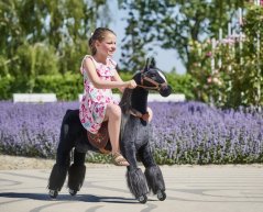 Mechanical riding horse Ponnie Ebony M
