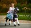 Mechanical riding horse Ponnie Domino M with pink saddle