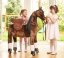 Mechanical riding horse Ponnie Happy M