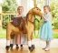 Mechanical riding horse Ponnie Fancy M