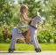 Donkey Ponnie S