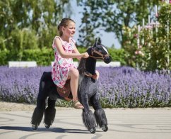 Cal mecanic de călărie Ponnie Ebony M