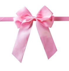 Gift ribbon for horse - pink