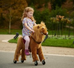 Lion Ponnie S PROFI