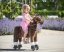 Mechanical riding horse Ponnie Happy S