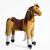 Fancy Ponnie M PROFI
