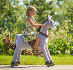 Âne Ponnie S