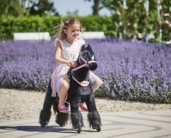 Jeżdżący mechaniczny koń Ponnie Ebony S z różowym siodłem