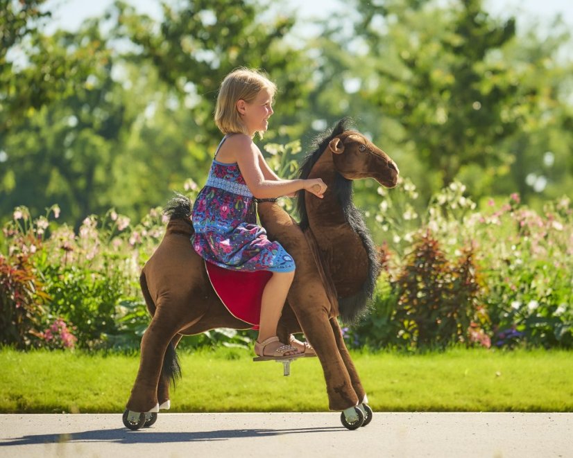 Camel Ponnie M PROFI