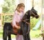 Mechanical riding horse Ponnie Ebony S