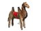 Camel Ponnie M PROFI