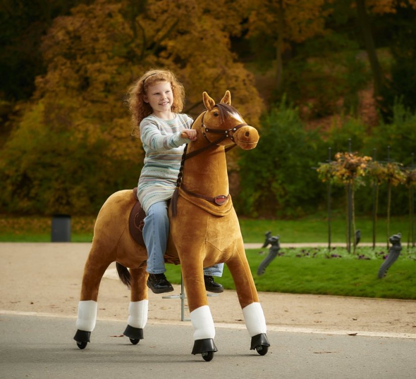 Fancy Ponnie XL PROFI