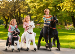 Dixi zèbre Ponnie XL PROFI