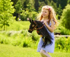 Hobby Horse Black Lady
