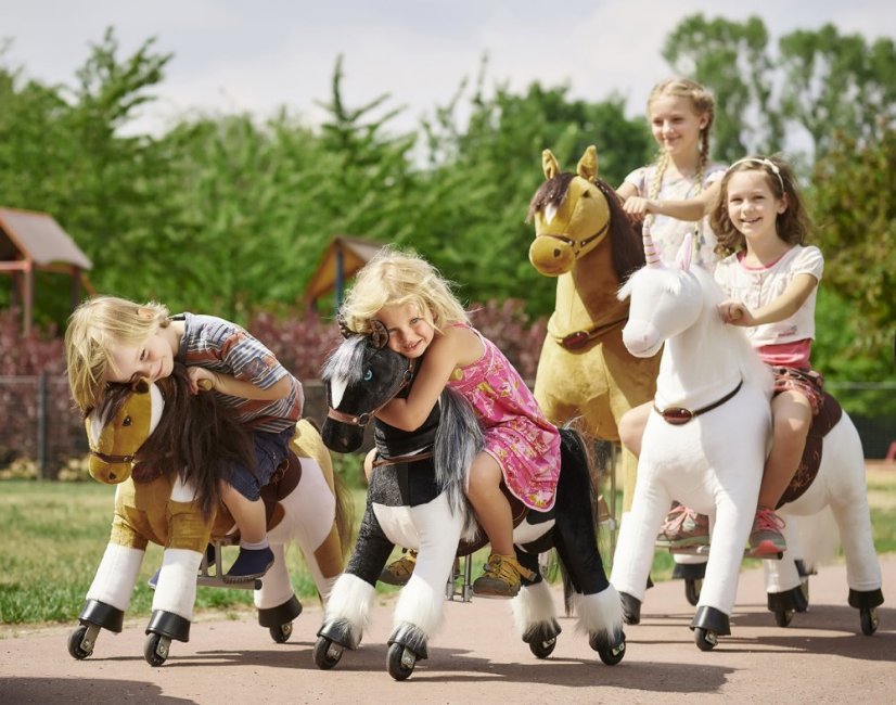 Mechanical riding Zebra Ponnie Dixi S