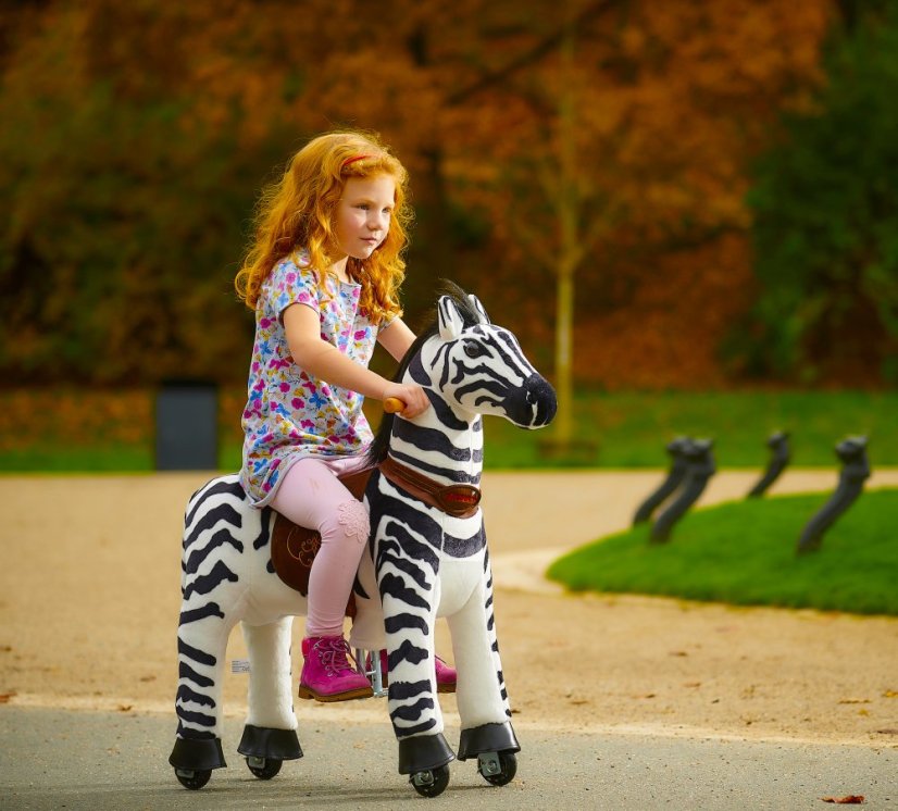 Dixi Zebra Ponnie S PROFI