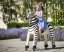 Dixi Zebra Ponnie XL PROFI