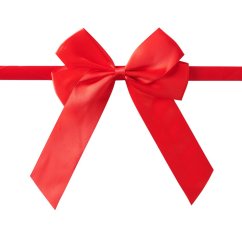 Gift ribbon for horse - red