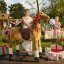 Fancy Ponnie XL PROFI