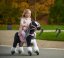 Caballo de montar inline Ponnie Domino S con sillín rosa