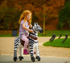 Dixi Zebra Ponnie S PROFI