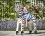 Dixi Zebra Ponnie XL PROFI