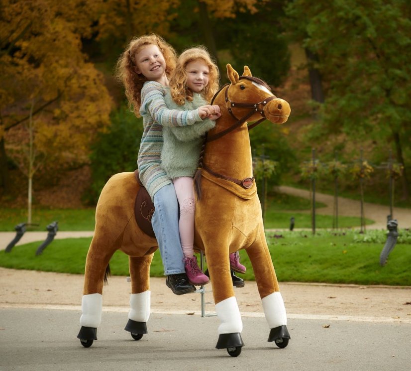 Fancy Ponnie XL PROFI
