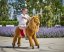 Lion Ponnie M